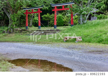 南方神社（鹿児島県薩摩川内市湯島町）の並立鳥居 89622393