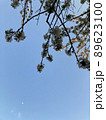 Cherry Blossoms 89623100
