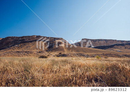 Dry grass and rocky area in desert Dry grass and rocky area in desert 89623312