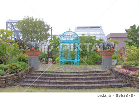 花壇(西山公園 愛知県 豊田市) 花壇(西山公園 愛知県 豊田市) 89623787
