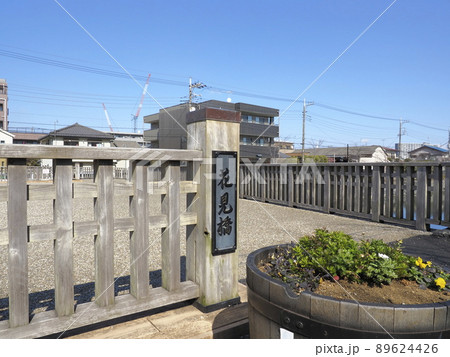 新川千本桜　江戸川区新川 89624426