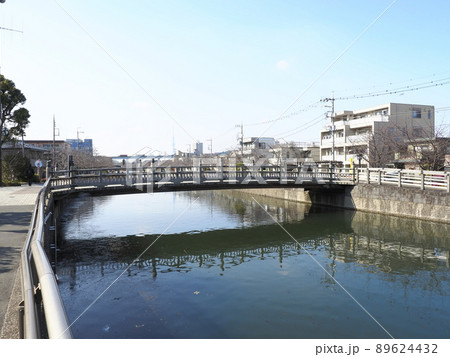 新川千本桜　江戸川区新川 89624432