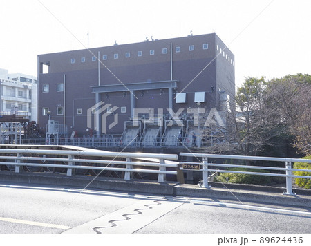 新川千本桜 江戸川区新川 新川千本桜 江戸川区新川 89624436