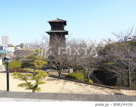 新川千本桜　江戸川区新川 89624438