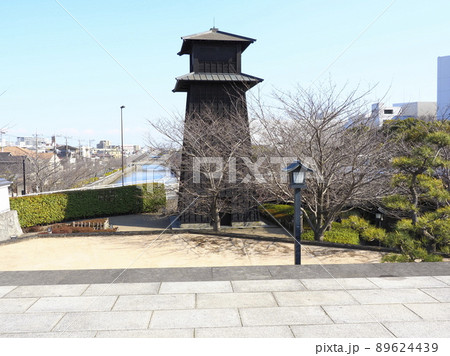 新川千本桜　江戸川区新川 89624439