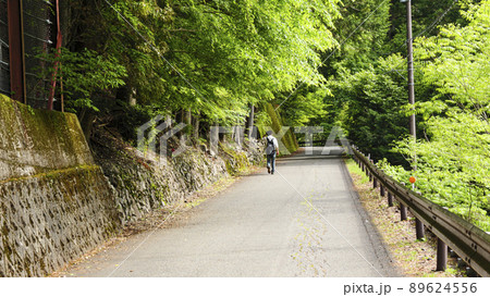 静岡県川根本町の景勝地の寸又峡の初夏 89624556