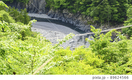 静岡県川根本町の景勝地の寸又峡の初夏 89624566