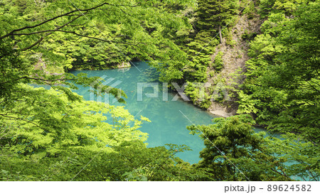 静岡県川根本町の景勝地の寸又峡の初夏 静岡県川根本町の景勝地の寸又峡の初夏 89624582