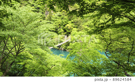 静岡県川根本町の景勝地の寸又峡の初夏 89624584