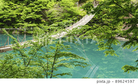 静岡県川根本町の景勝地の寸又峡の初夏 89624597