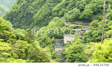 静岡県川根本町の景勝地の寸又峡の初夏 静岡県川根本町の景勝地の寸又峡の初夏 89624700