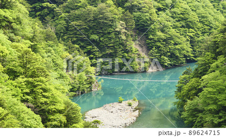 静岡県川根本町の景勝地の寸又峡の初夏 89624715