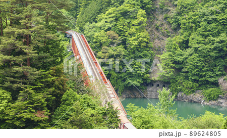 奥大井湖上駅の初夏 89624805