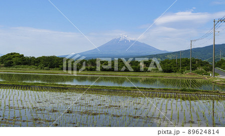 初夏の富士山（田植え） 89624814