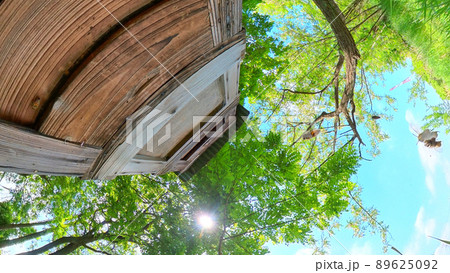 アカシアの森の養蜂場　太陽とミツバチが飛ぶ青空と巣箱　360度パノラマ撮影 89625092