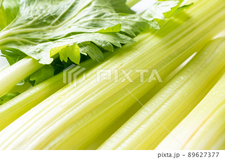セロリのアップ。 89627377