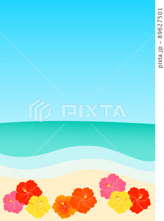 青空のビーチと、ハイビスカスの花のイラスト 青空のビーチと、ハイビスカスの花のイラスト 89627501
