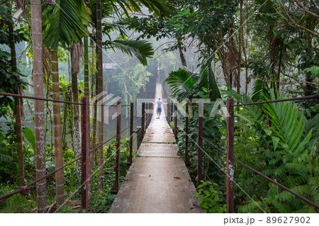 Hanging bridge 89627902