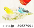 セキセイインコの雛 89627991