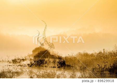 大清湖 朝焼け 夜明け 89629918