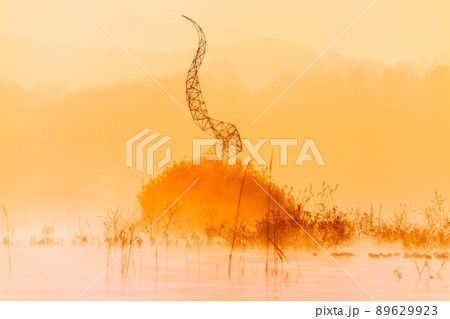 大清湖 朝焼け 夜明け 89629923