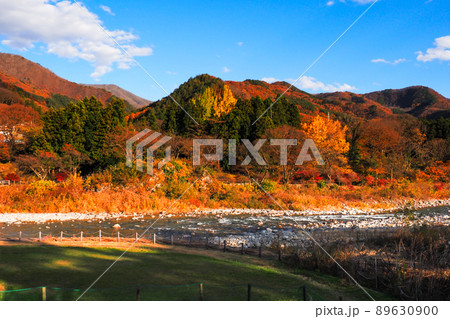 水上の諏訪峡　秋の紅葉 89630900