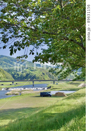 春 月山富田城の麓の河川敷でキャンプを楽しむ  春 月山富田城の麓の河川敷でキャンプを楽しむ  89631156