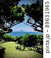 開聞岳 89631965