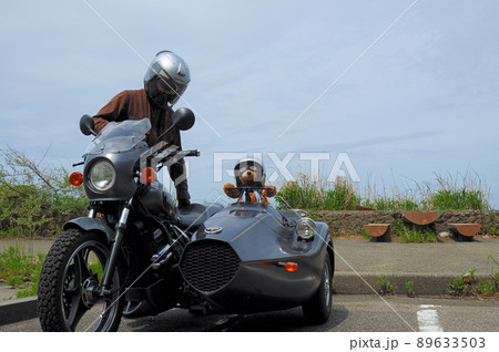 海岸近くの駐車場で熊の縫いぐるみを載せてくつろぐドライバー 海岸近くの駐車場で熊の縫いぐるみを載せてくつろぐドライバー 89633503