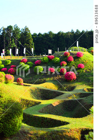 山中城　続日本100名城 89633688