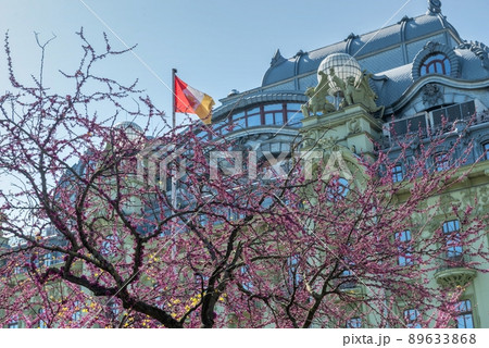 City garden in Odessa during the war in Ukraine 89633868