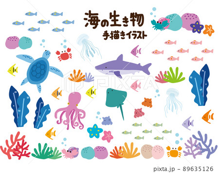 海の生き物 イラスト セット 89635126