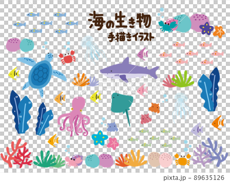 海の生き物 イラスト セット 89635126