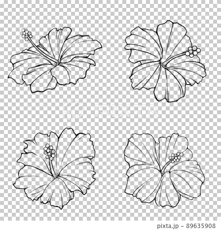 ハイビスカスの線画イラストセット 89635908
