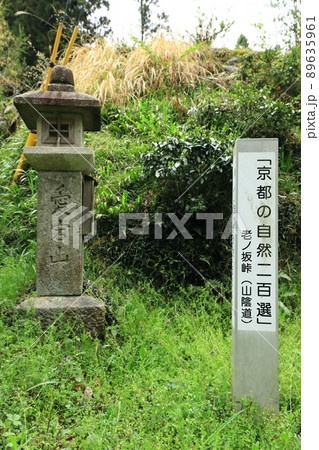 老ノ坂峠 89635961