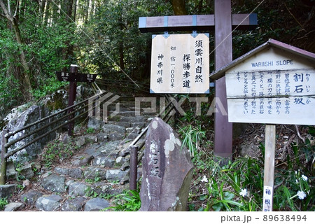箱根町　須雲川自然探勝歩道入口と割石坂案内板 89638494