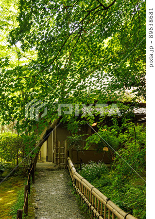 新緑の祇王寺 新緑の祇王寺 89638681