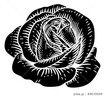 Rose Flower Vintage Woodcut Drawing 89639099