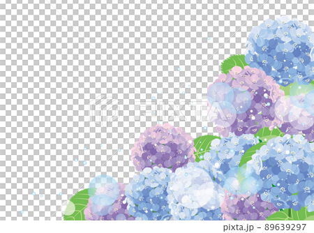 背景素材＜花9・アジサイ・紫陽花＞ 89639297