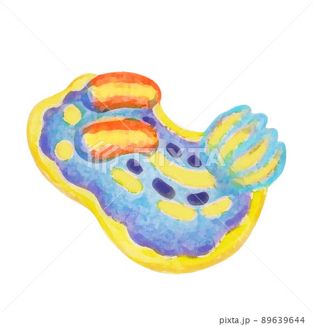 白い背景かわいいアンナウミウシchromodoris Annaeのイラストのイラスト素材
