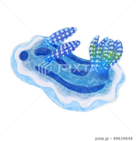 白い背景かわいいミゾレウミウシChromodoris willaniのイラスト 89639648