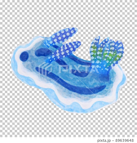 白い背景かわいいミゾレウミウシChromodoris willaniのイラスト 89639648