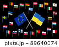 Flags of the European Union and Ukraine, as well as EU member states. 89640074