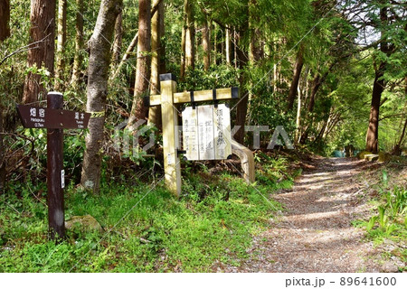 箱根町　須雲川自然探勝歩道入口（湯本方向）と道案内 89641600
