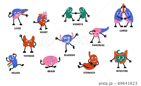 Human body organs characters. Cartoon cute...のイラスト素材 [89641623] - PIXTA