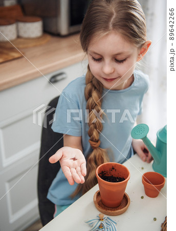 Little girl sitting at the table at home, sowing seeds into flower pots. 89642266