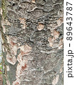 樹皮 89643787