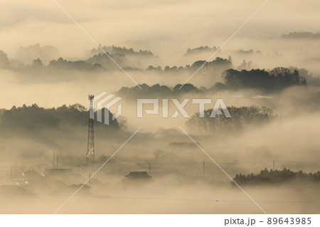 霧にのみこまれそうな霞ケ浦の街 霧にのみこまれそうな霞ケ浦の街 89643985