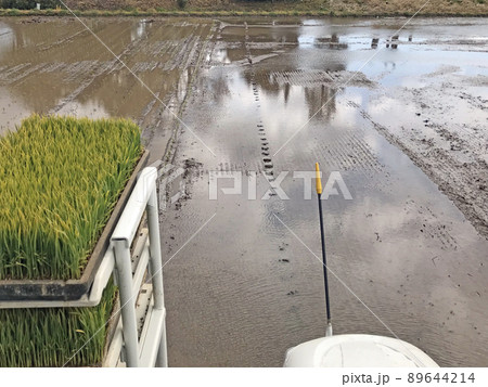 ガイドに沿って植える田植作業 89644214