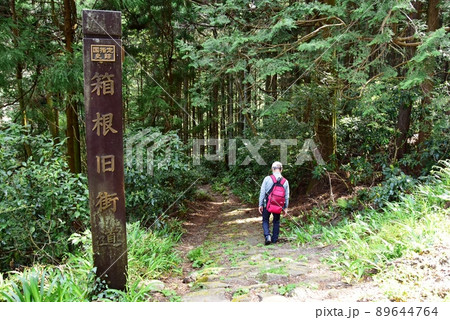 箱根町　国指定史跡箱根旧街道案内と箱根旧街道とハイカー 89644764
